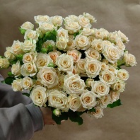 Спрей Таня Спрей Таня