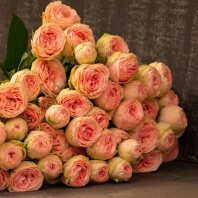 Спрей Грандмасс Кетти (пионовидная) Спрей Грандмасс Кетти (пионовидная)