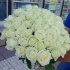 Аваланж 90 см Аваланж 90 см