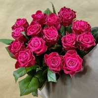 Адмирал Адмирал