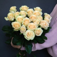 Аваланж Пич Аваланж Пич