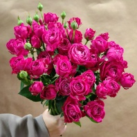 Спрей Марвелос Баблз (пионовидная) Спрей Марвелос Баблз (пионовидная)