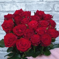 Ред-найт Ред-найт