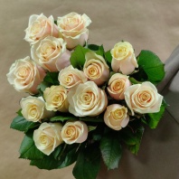 Айвори Талея Айвори Талея