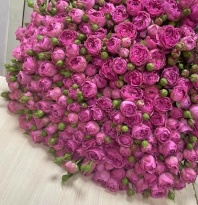 Спрей Мисти Баблз (пионовидная) Спрей Мисти Баблз (пионовидная)