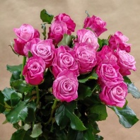 Дип Вотер Дип Вотер