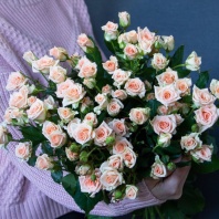 Спрей Свит Сара Спрей Свит Сара