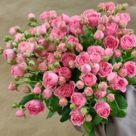 Спрей Спешл Дименшен (пионовидная) Спрей Спешл Дименшен (пионовидная)