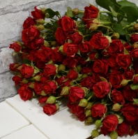 Спрей Мирабель Спрей Мирабель