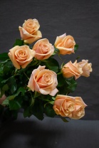 Латте Латте