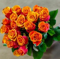 Эспана Эспана