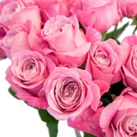 Олл фо Лав (пионовидная) Олл фо Лав (пионовидная)