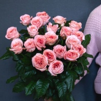 Лондон Ай (пионовидная) Лондон Ай (пионовидная)