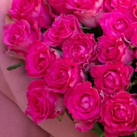 Лейла Лейла