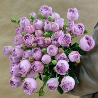 Спрей Лавендер Баблз (пионовидная) Спрей Лавендер Баблз (пионовидная)