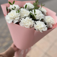 Букет из 9 диантусов с зеленью. Диантусы разных цветов в ассортименте  Букет из 9 диантусов с зеленью. Диантусы разных цветов в ассортименте