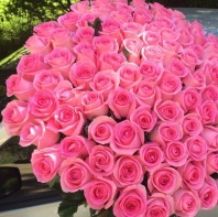 Ревиваль Ревиваль