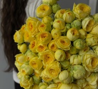 Пиони баблз (пионовидная) Пиони баблз (пионовидная)