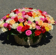 101 роза 40-50см 2сорт в корзине. разные цвета 101 роза 40-50см 2сорт в корзине. разные цвета